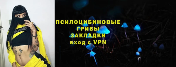 скорость Каменка