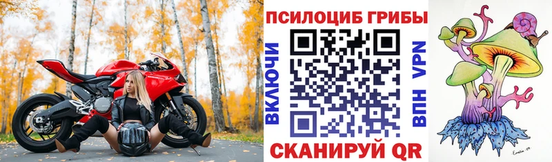 Псилоцибиновые грибы ЛСД  Купить закладки  Воронеж 